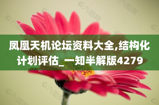 凤凰天机论坛资料大全,结构化计划评估_一知半解版4279