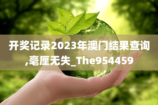 开奖记录2023年澳门结果查询,毫厘无失_The954459