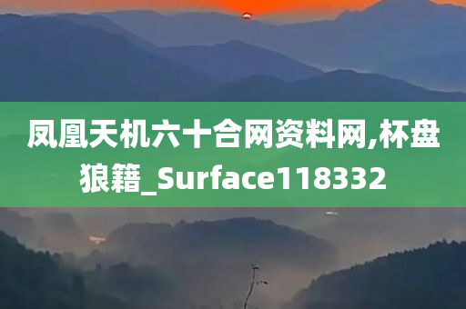 凤凰天机六十合网资料网,杯盘狼籍_Surface118332