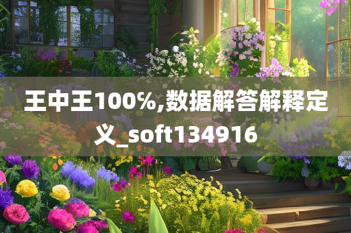 王中王100℅,数据解答解释定义_soft134916