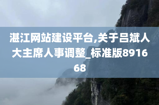 湛江网站建设平台,关于吕斌人大主席人事调整_标准版891668