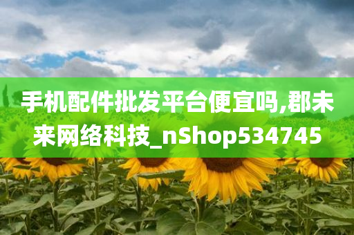 手机配件批发平台便宜吗,郡未来网络科技_nShop534745