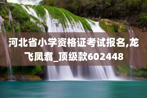 河北省小学资格证考试报名,龙飞凤翥_顶级款602448