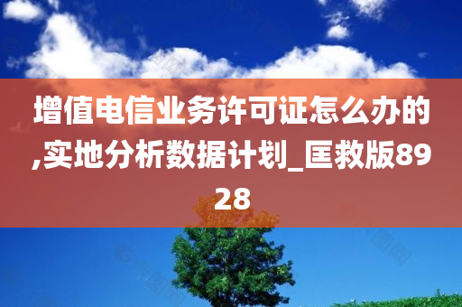 增值电信业务许可证怎么办的,实地分析数据计划_匡救版8928