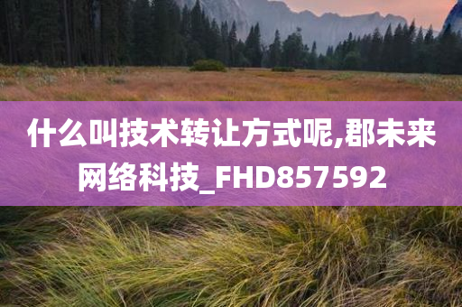 什么叫技术转让方式呢,郡未来网络科技_FHD857592