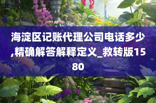 海淀区记账代理公司电话多少,精确解答解释定义_救转版1580