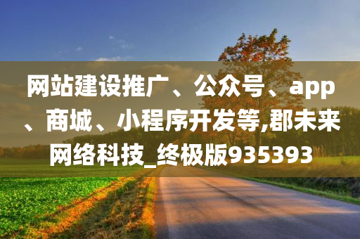 网站建设推广、公众号、app、商城、小程序开发等,郡未来网络科技_终极版935393