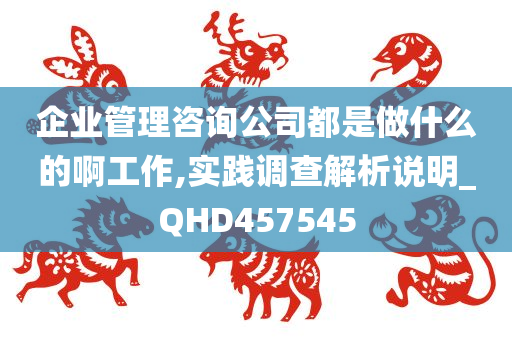 企业管理咨询公司都是做什么的啊工作,实践调查解析说明_QHD457545