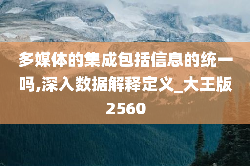 多媒体的集成包括信息的统一吗,深入数据解释定义_大王版2560