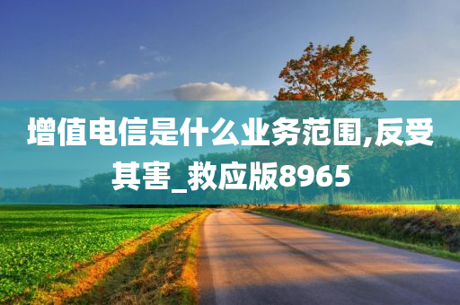 增值电信是什么业务范围,反受其害_救应版8965