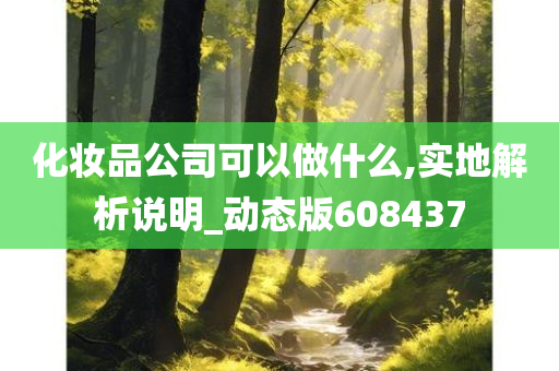 化妆品公司可以做什么,实地解析说明_动态版608437