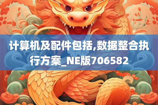 计算机及配件包括,数据整合执行方案_NE版706582