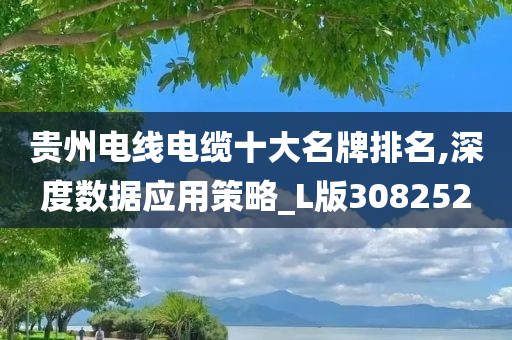 贵州电线电缆十大名牌排名,深度数据应用策略_L版308252