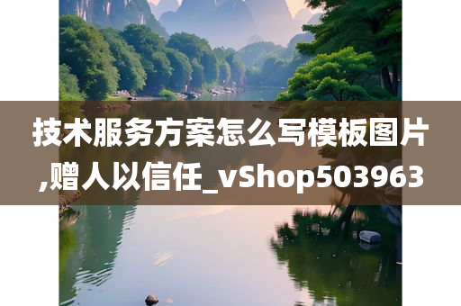 技术服务方案怎么写模板图片,赠人以信任_vShop503963