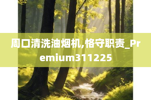 周口清洗油烟机,恪守职责_Premium311225