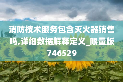 消防技术服务包含灭火器销售吗,详细数据解释定义_限量版746529