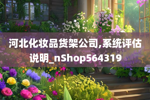 河北化妆品货架公司,系统评估说明_nShop564319