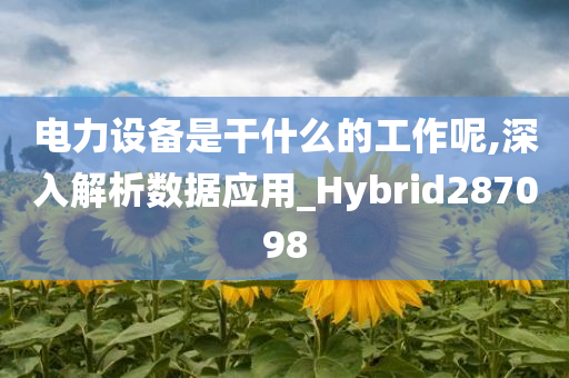 电力设备是干什么的工作呢,深入解析数据应用_Hybrid287098