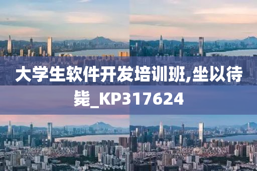 大学生软件开发培训班,坐以待毙_KP317624