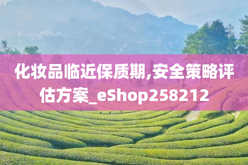 化妆品临近保质期,安全策略评估方案_eShop258212