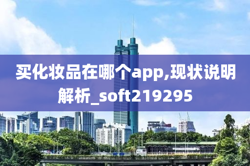 买化妆品在哪个app,现状说明解析_soft219295