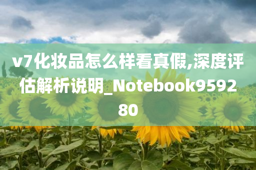 v7化妆品怎么样看真假,深度评估解析说明_Notebook959280