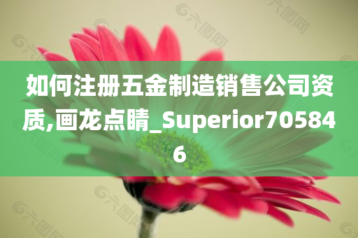 如何注册五金制造销售公司资质,画龙点睛_Superior705846