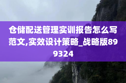 仓储配送管理实训报告怎么写范文,实效设计策略_战略版899324