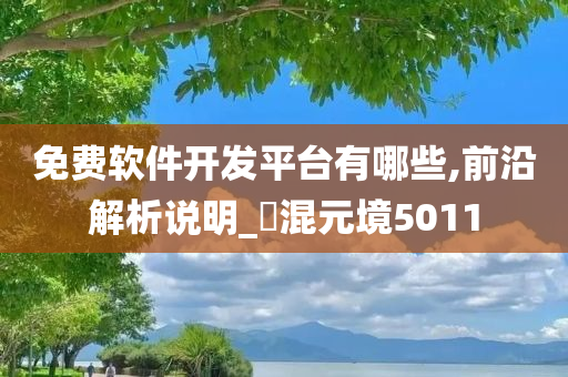 免费软件开发平台有哪些,前沿解析说明_‌混元境5011