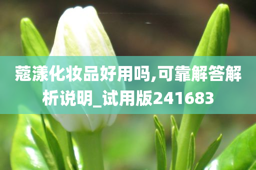 蔻漾化妆品好用吗,可靠解答解析说明_试用版241683