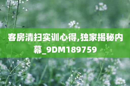 客房清扫实训心得,独家揭秘内幕_9DM189759