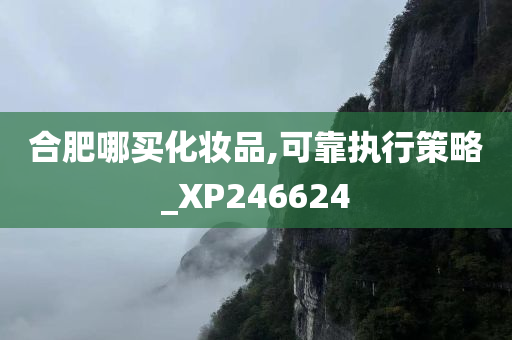 合肥哪买化妆品,可靠执行策略_XP246624