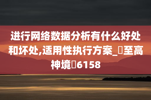 进行网络数据分析有什么好处和坏处,适用性执行方案_‌至高神境‌6158