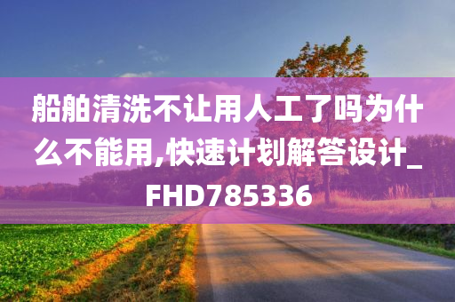 船舶清洗不让用人工了吗为什么不能用,快速计划解答设计_FHD785336