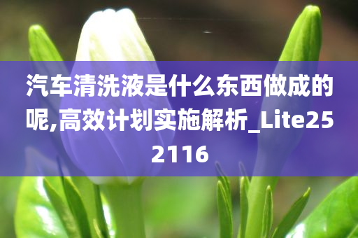 汽车清洗液是什么东西做成的呢,高效计划实施解析_Lite252116