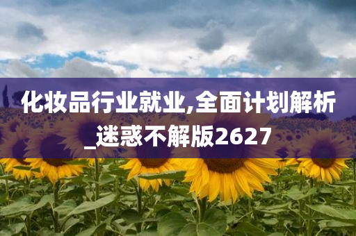 化妆品行业就业,全面计划解析_迷惑不解版2627