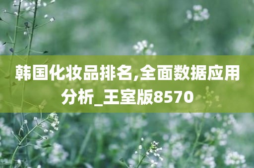 韩国化妆品排名,全面数据应用分析_王室版8570