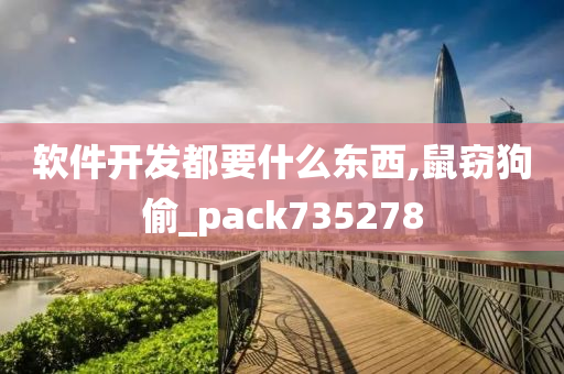 软件开发都要什么东西,鼠窃狗偷_pack735278