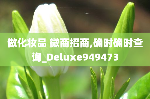 做化妆品 微商招商,确时确时查询_Deluxe949473