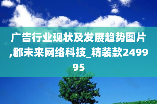 广告行业现状及发展趋势图片,郡未来网络科技_精装款249995