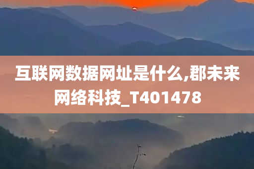 互联网数据网址是什么,郡未来网络科技_T401478