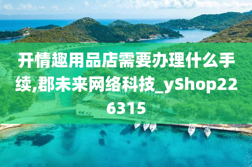 开情趣用品店需要办理什么手续,郡未来网络科技_yShop226315