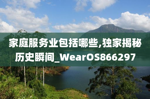 家庭服务业包括哪些,独家揭秘历史瞬间_WearOS866297