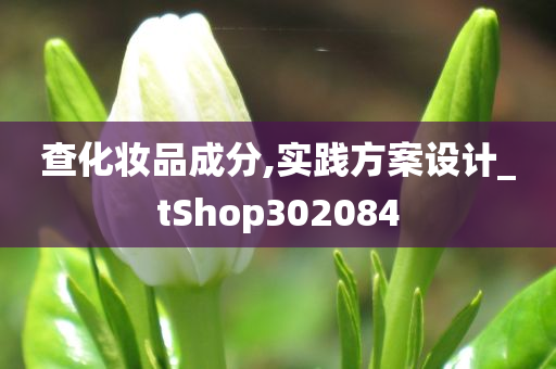 查化妆品成分,实践方案设计_tShop302084