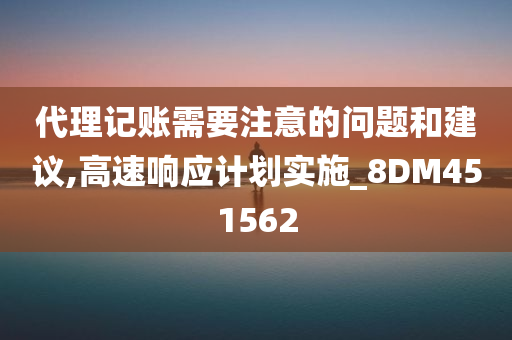 代理记账需要注意的问题和建议,高速响应计划实施_8DM451562