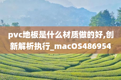 pvc地板是什么材质做的好,创新解析执行_macOS486954