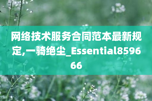 网络技术服务合同范本最新规定,一骑绝尘_Essential859666