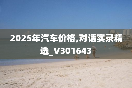 2025年汽车价格,对话实录精选_V301643