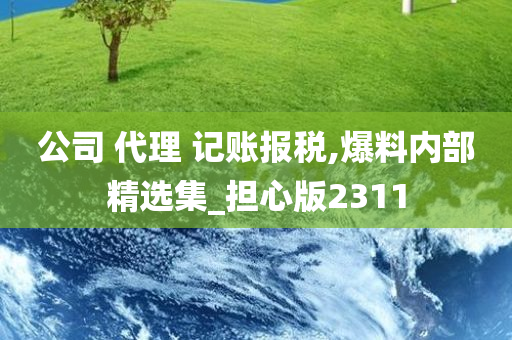 公司 代理 记账报税,爆料内部精选集_担心版2311