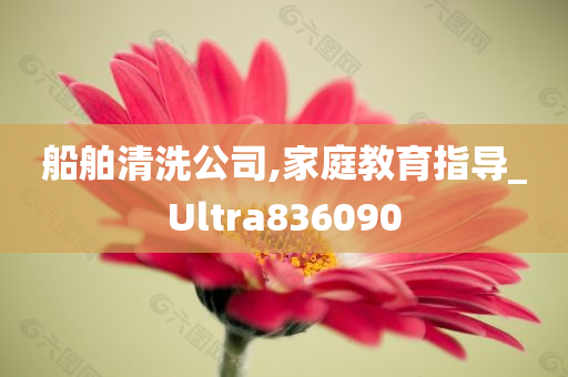 船舶清洗公司,家庭教育指导_Ultra836090